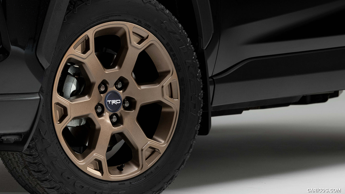 18" Bronze Wheel from Rav4 Woodland Edition
