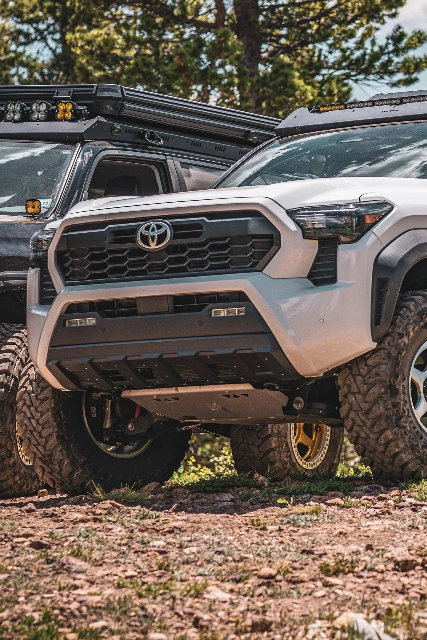 2024-Current Toyota Tacoma Skid Plate Assembly