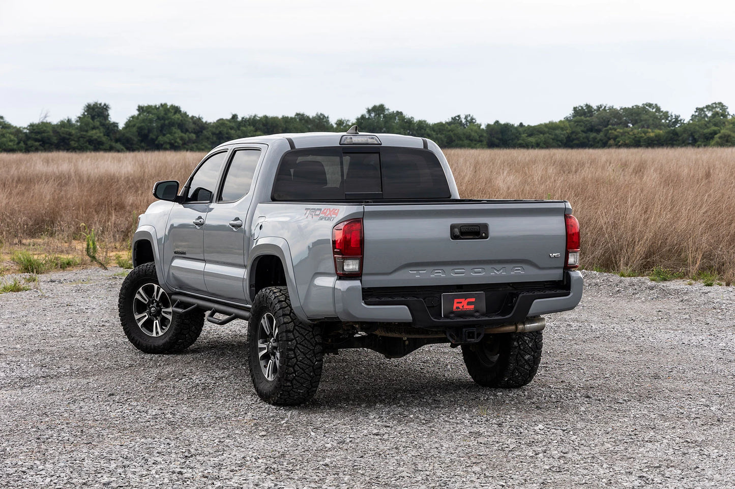 Nerf Steps Toyota Tacoma (05-23)
