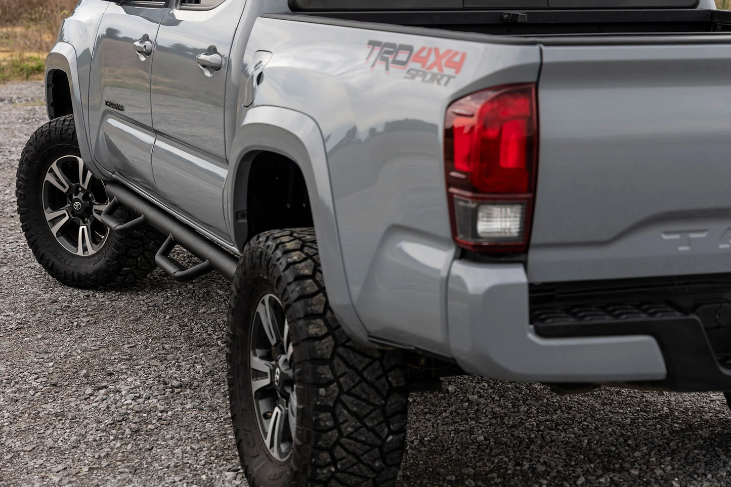 Nerf Steps Toyota Tacoma (05-23)