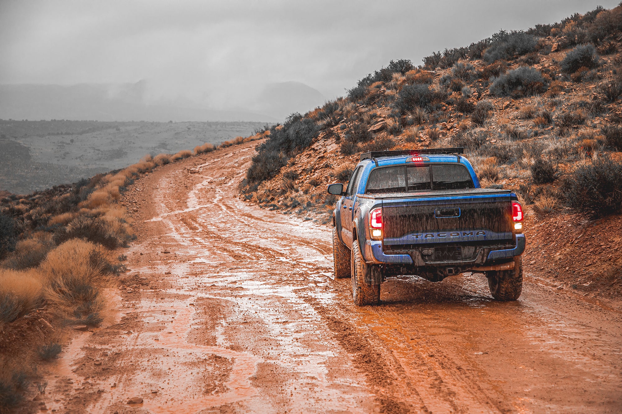 Tacoma Tailgate Vinyl