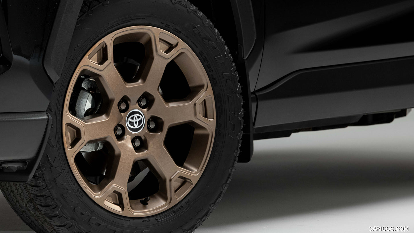 18" Bronze Wheel from Rav4 Woodland Edition